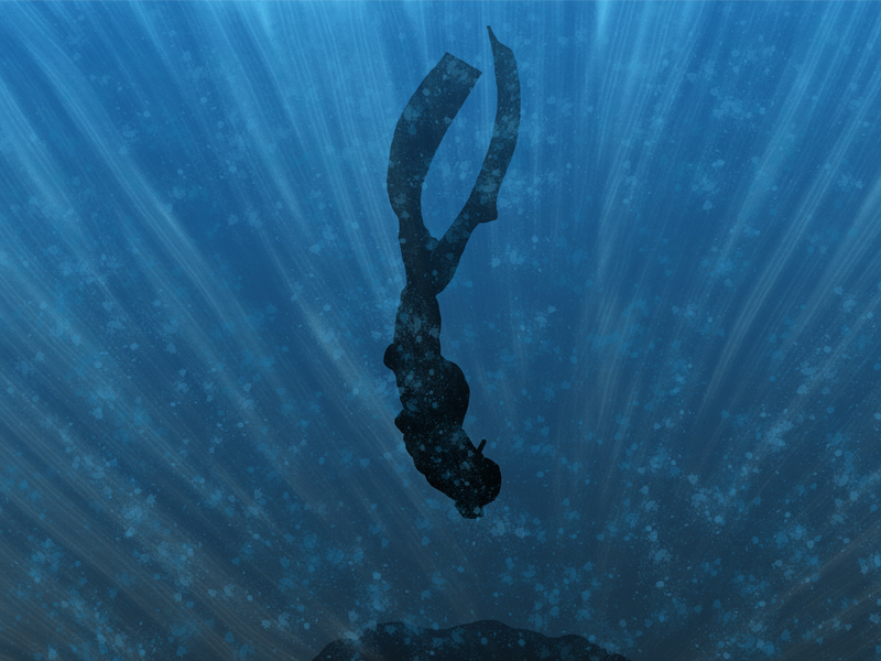 aquatic illustrazione