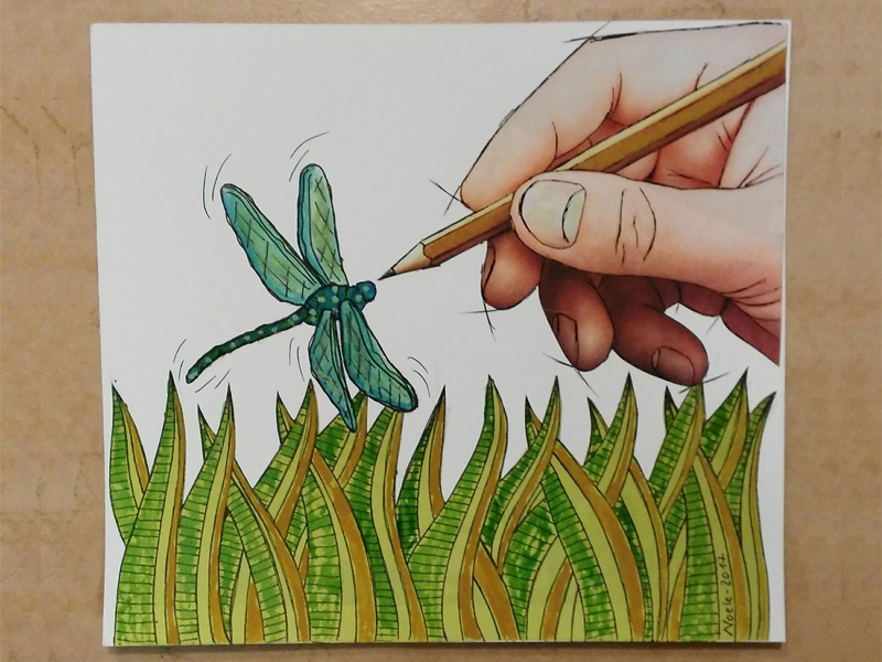 il volo della libellula illustrazione